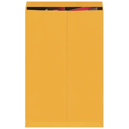 Bsc Preferred 24 x 36'' Kraft Jumbo Envelopes, 100PK BUY00020749